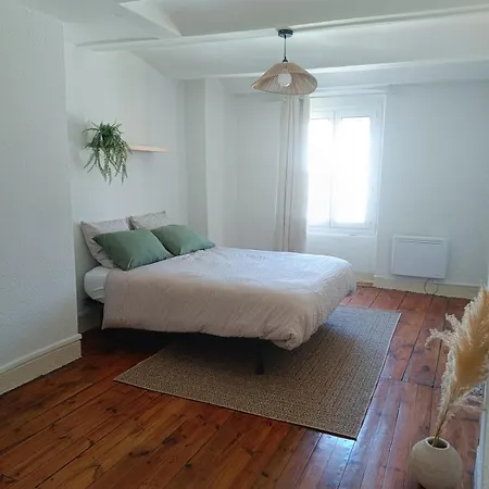 T3 Cosy Vue Sur Monuments Appartement Le Puy-en-Velay